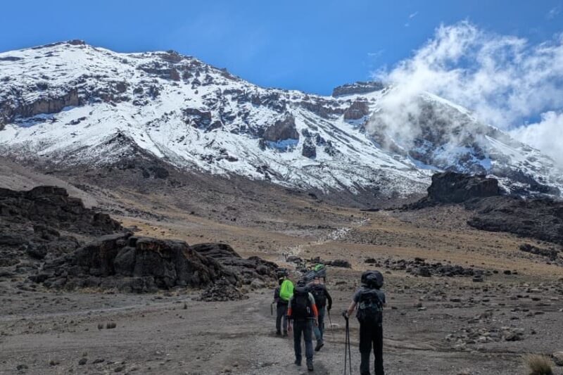 6 Days Rongai Route Kilimanjaro Climbing (73km / 30–36 Trekking hrs) 2026-2027