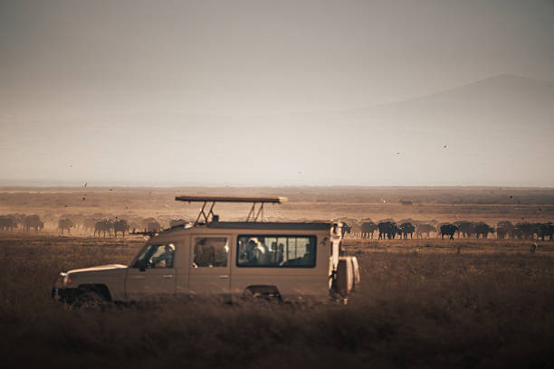 Arusha National Park Photography Safari From Moshi: Best Guide 2026-2027-2028