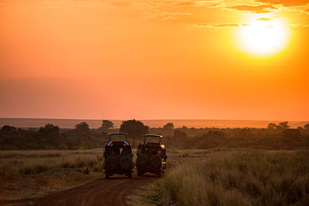 7-Day Northern Highlights — Kilimanjaro, Arusha & Safari Guide
