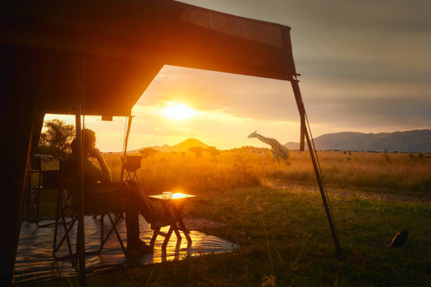 Best Safari From Moshi For Backpackers: Guide 2026-2027-2028