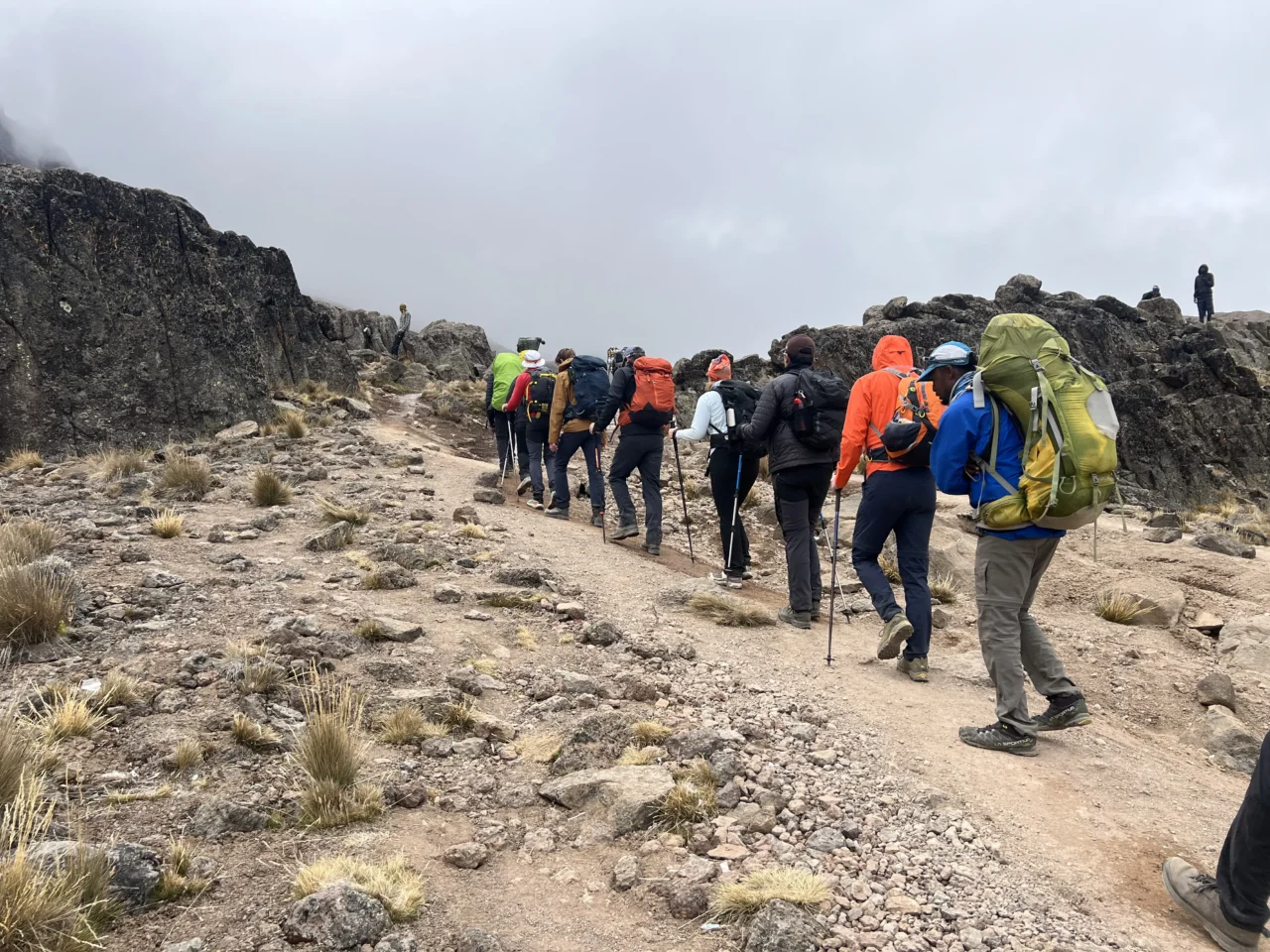 Marangu Gate Day Trip From Arusha – Kilimanjaro Photo Tour 2026-2027