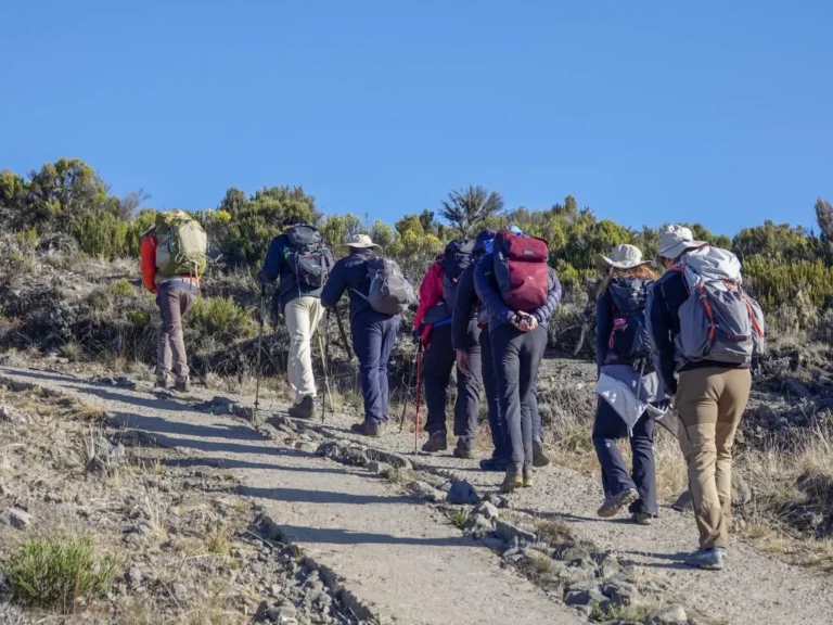 Kilimanjaro Bachelor Adventure Climbing Trip