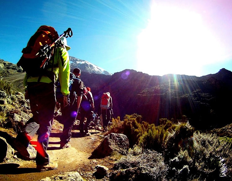 May vs June: When Should You Climb Kilimanjaro?
