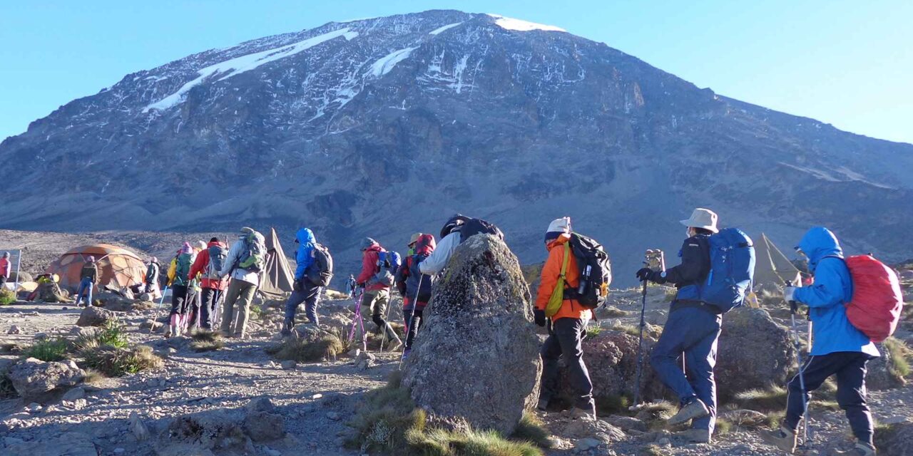 June Vs July Kilimanjaro Weather And Crowds 2026-2027