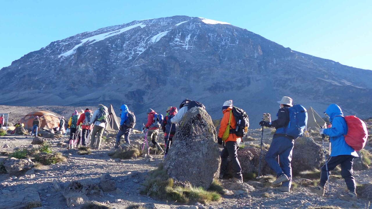 June Vs July Kilimanjaro Weather And Crowds 2026-2027