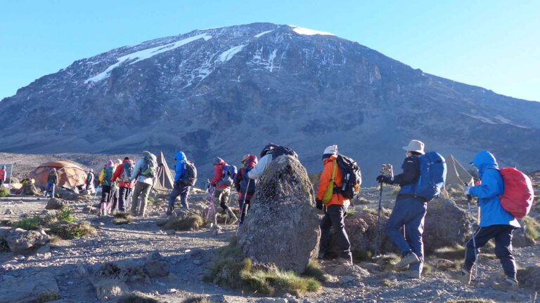 June vs July Kilimanjaro Weather and Crowds