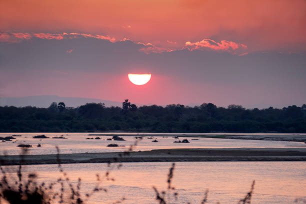 7-Day Nyerere, Mikumi and Zanzibar Holiday