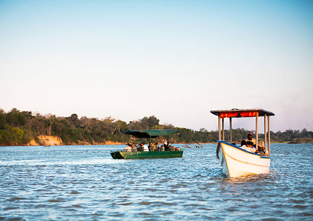 4-Day Mikumi and Nyerere Safari