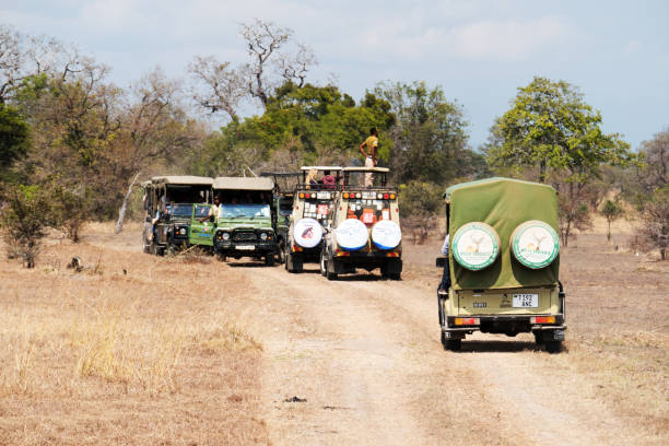 Budget 2-Day Nyerere Safari Package