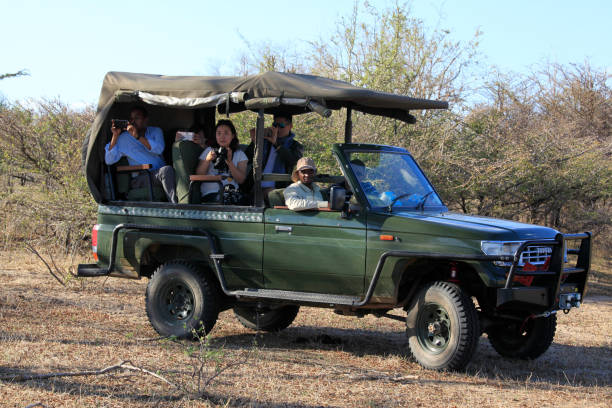 2-Day Nyerere Safari Cost With Flights In | Top Guide Adventures 2026-2027