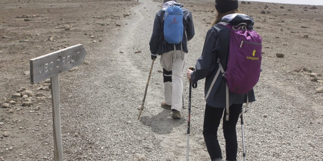 Kilimanjaro Acclimatization Package For Sea-Level Travellers | Top Guide