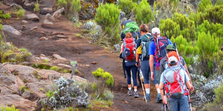 Best Kilimanjaro Month for Fewer Climbers
