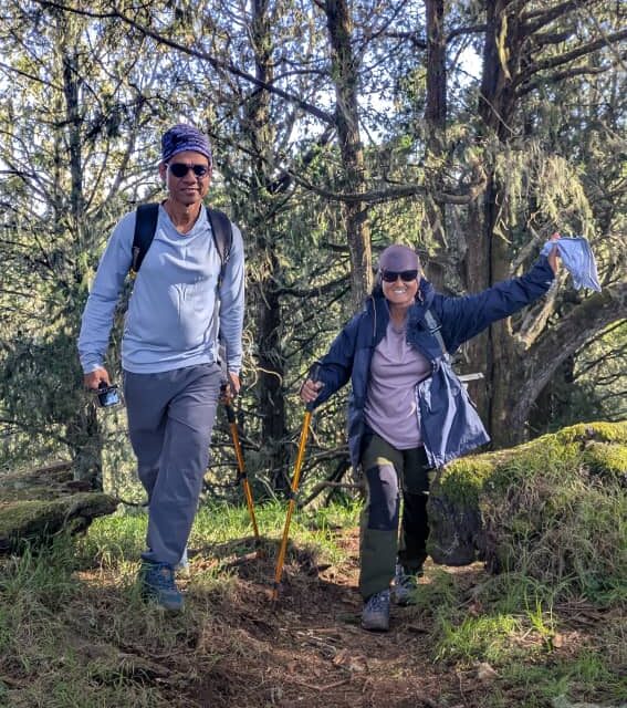 Affordable Lemosho Route Price: Expert Trekking Guide 2026-2027-2028