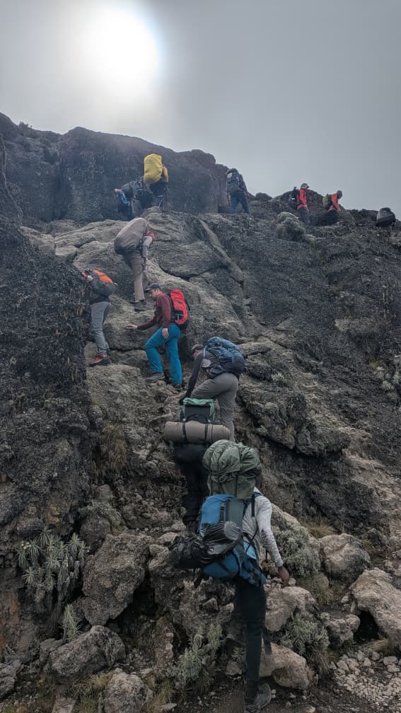 Lemosho Route Kilimanjaro Tour From Arusha: Expert Trekking Guide