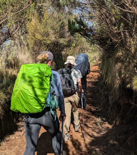 Top Best Kilimanjaro Climbing Tours From Zanzibar: Expert Trekking Guide