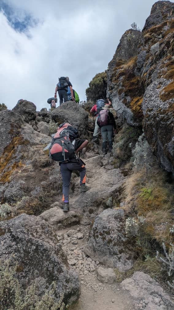 Expert-Guided Machame Route Package: Expert Trekking Guide 2026-2027-2028
