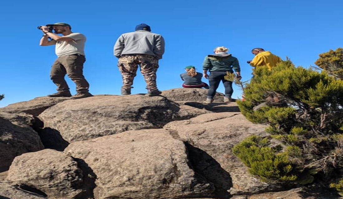 Book Kilimanjaro July Climb From Arusha: Expert Trekking Guide 2026-2027-2028