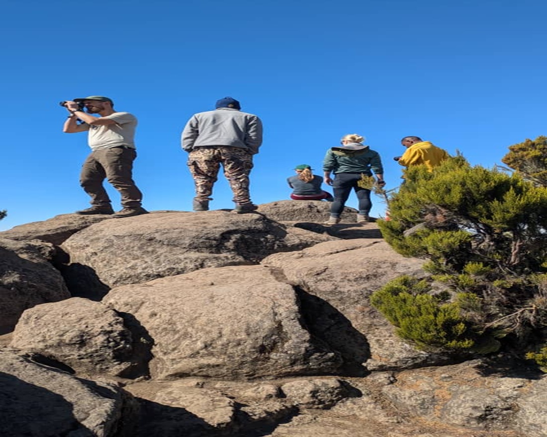 Book Kilimanjaro July Climb From Arusha: Expert Trekking Guide 2026-2027-2028