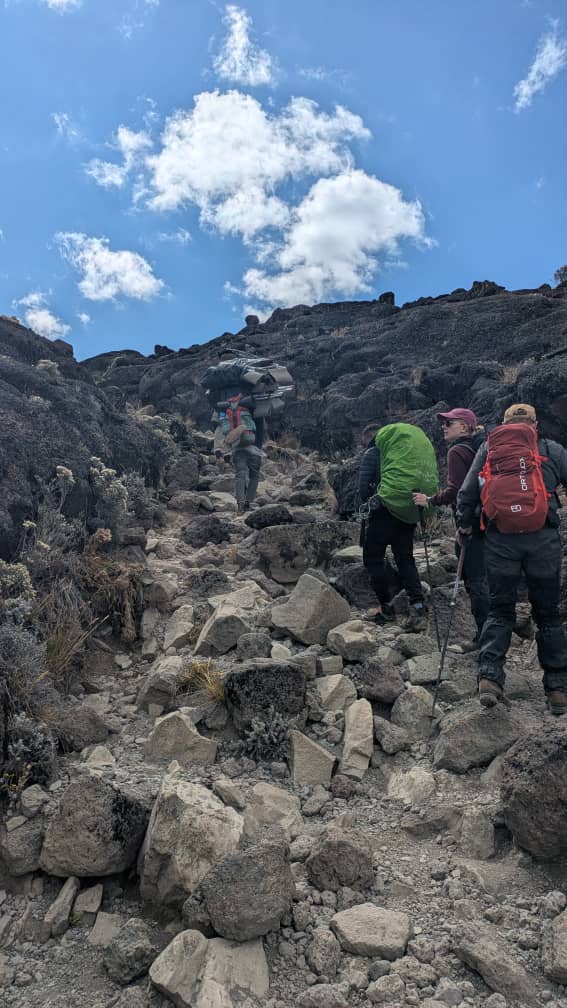 Book Kilimanjaro July Climb From Arusha: Expert Trekking Guide 2026-2027-2028