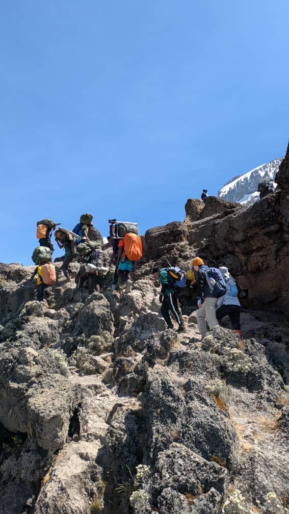 Join 6 Days Umbwe Route – 05 December 2026 Departure | Challenging Kilimanjaro
