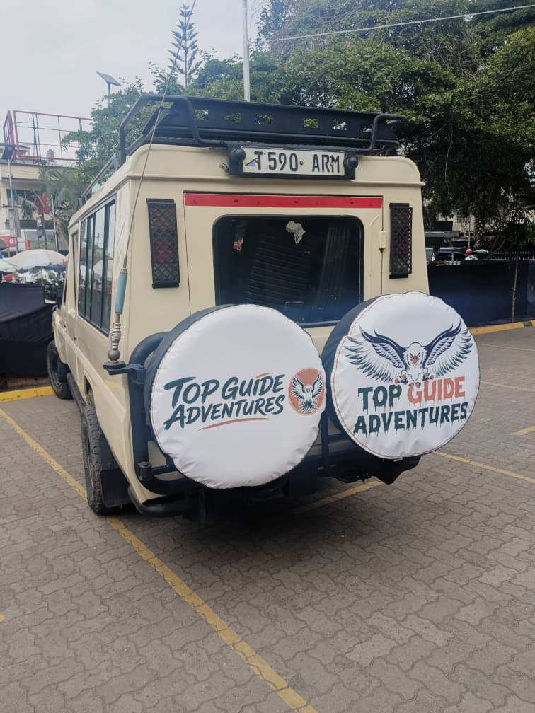 Reliable Serengeti Safari Company — Top Guide Adventures: Best