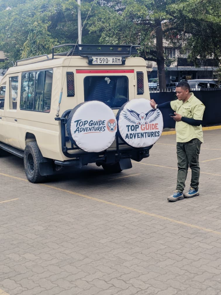 Best Zanzibar Day Tours Operator — Top Guide Adventures: Complete Travel