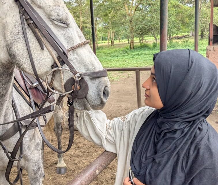 Arusha National Park Horse Riding Tour Cost And Planning For 2026-2027