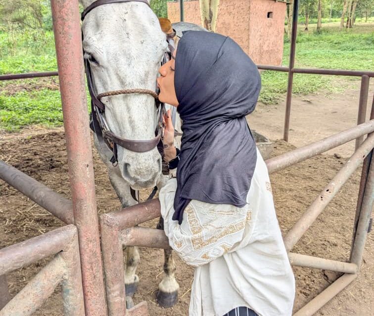 Arusha National Park Horse Safari Price: Your Guide To Equestrian Adventures