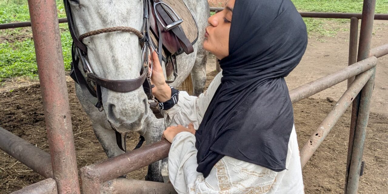 Where Can I Ride Horses In Arusha? Guide