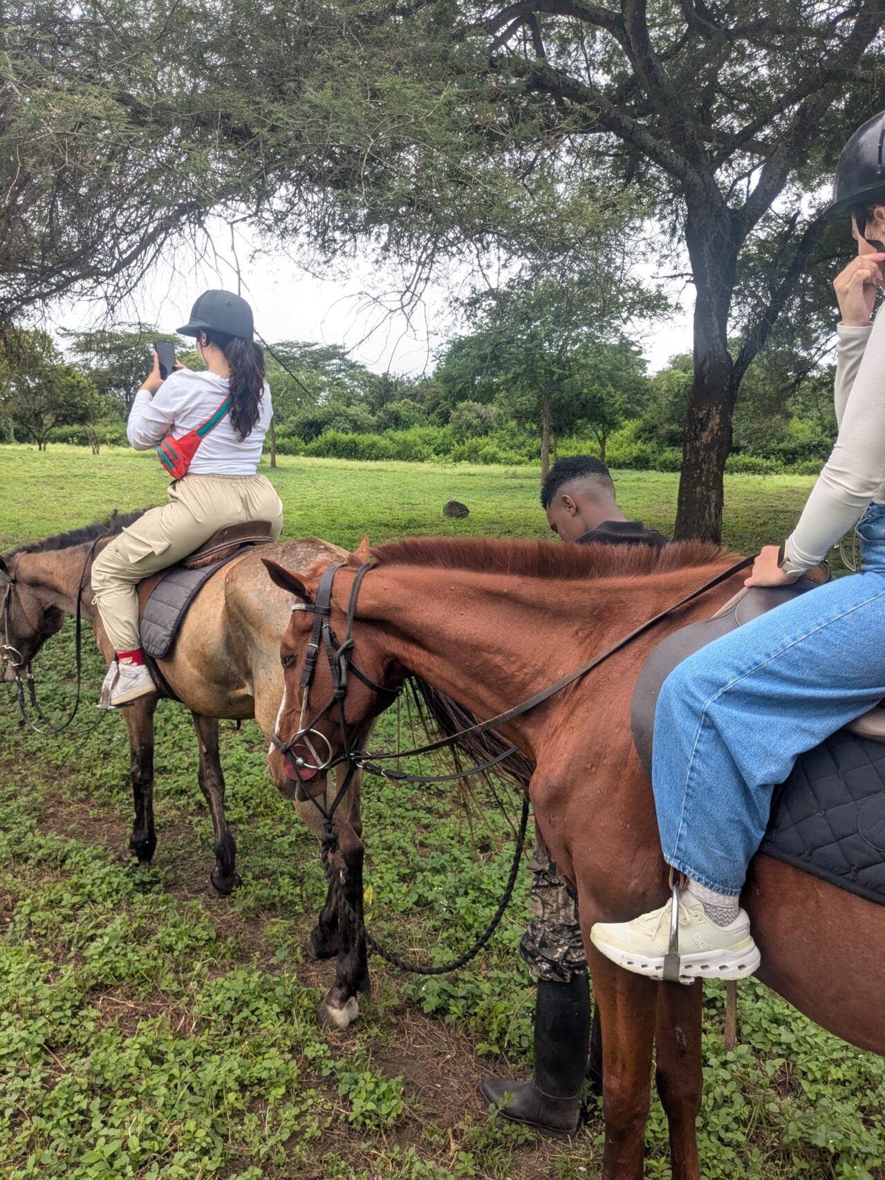Arusha Private Horse Riding Tour: An Unforgettable Tanzanian Adventure