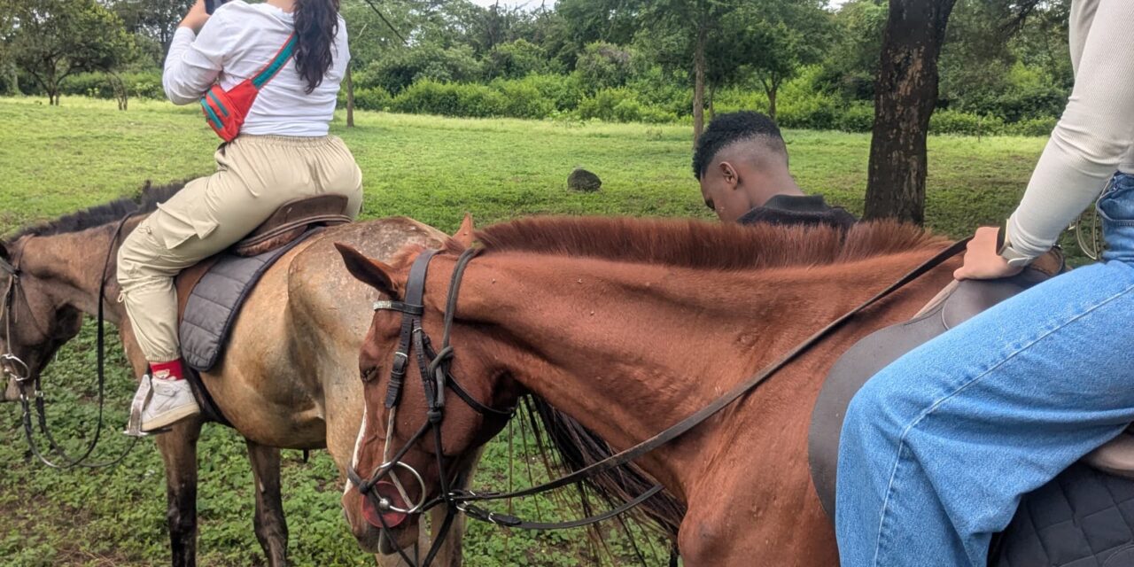 Arusha Horse Riding Price: Your Tanzania Adventure Guide 2026-2027