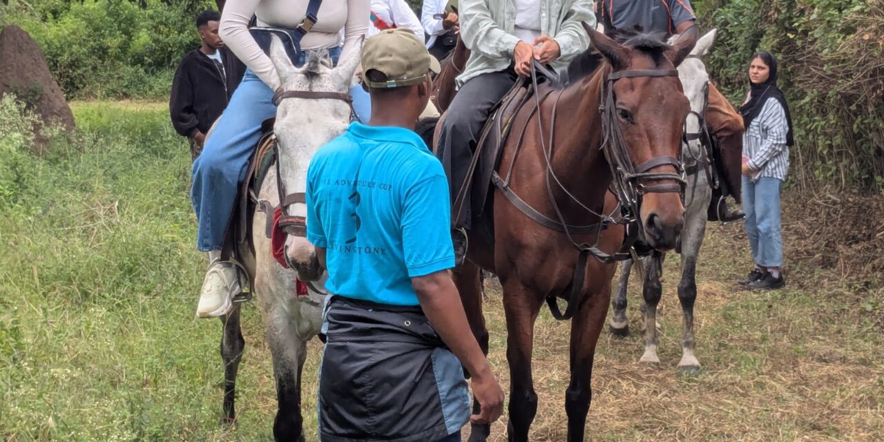 Usa River Horse Riding Tour, Best Itinerary Guide 2026-2027