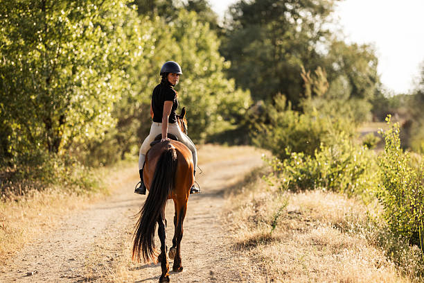 Horse Riding At Dolly Estate Guide