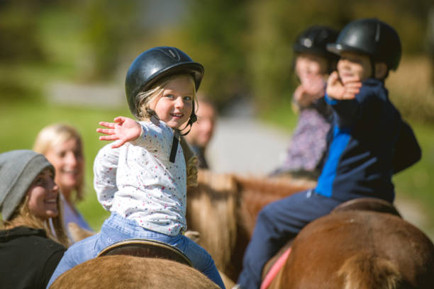 Horse Riding At Dolly Estate Guide