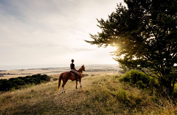 Wildlife Horse Riding Arusha National Park: Your Adventure Guide 2026-2027