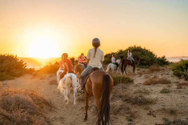 Horse Riding At Dolly Estate Guide