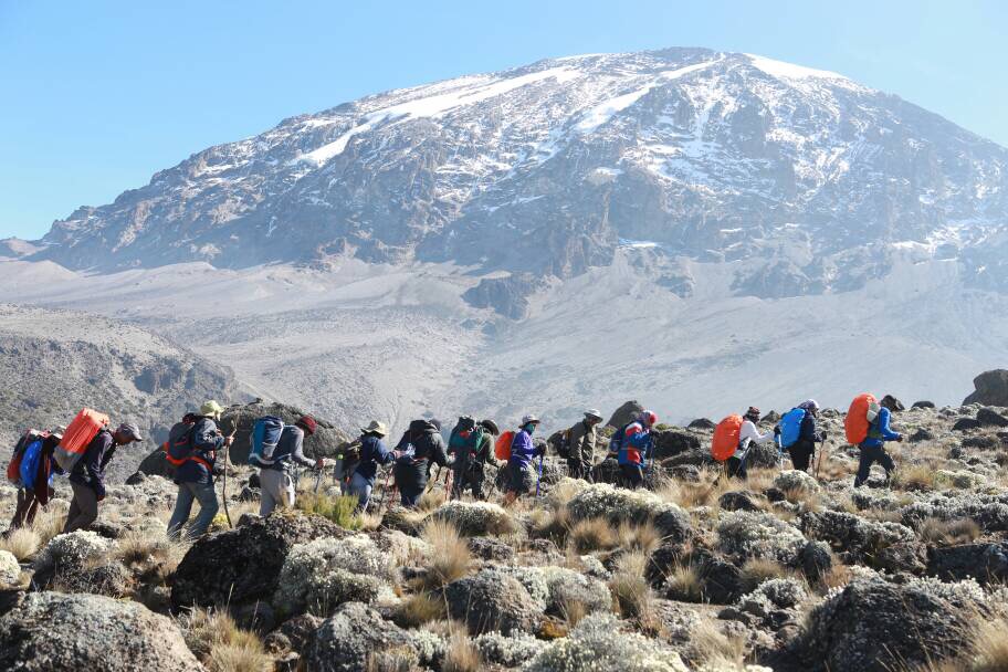 Oldest Person To Summit Kilimanjaro: Anne Lorimors Record-Breaking Climb