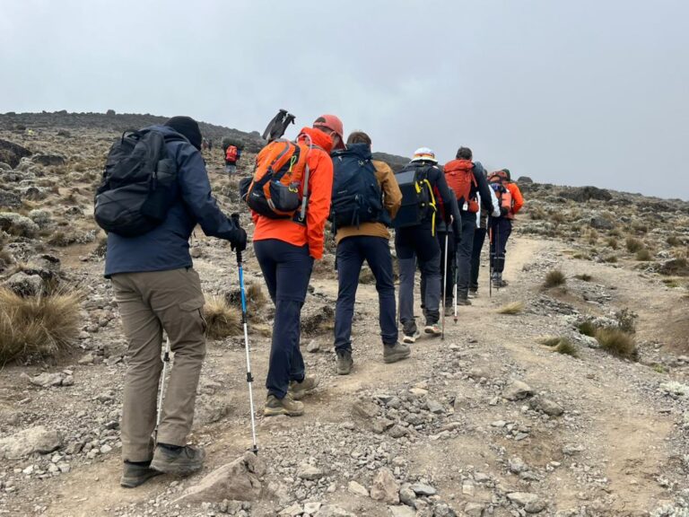 June Kilimanjaro Crowd Levels