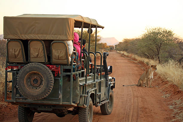 Lake Duluti Horse Riding Experience