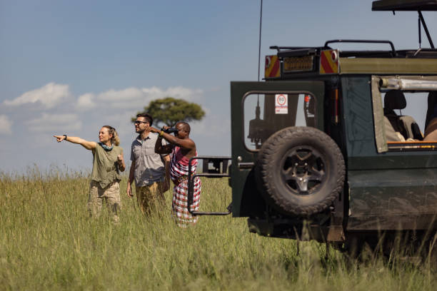 Best Flight price from Zanzibar to Kilimanjaro