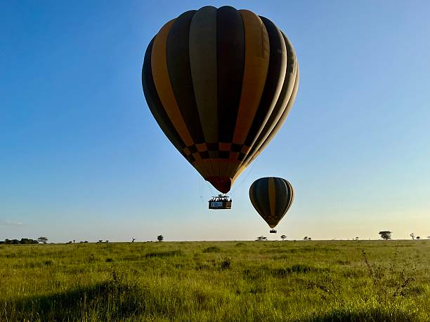 Best Price For Serengeti Hot Air Balloon Safaris: All Costs Explained