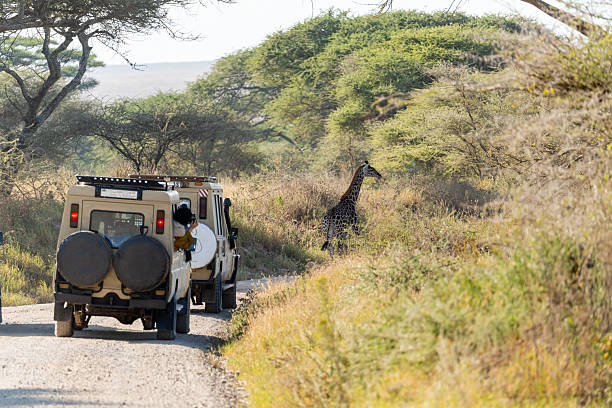 2 Days Arusha National Park And Tarangire Safari From Moshi: Best Guide