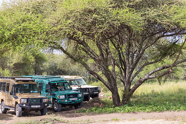 September River Crossing Safari From Moshi: Best Guide 2026-2027-2028