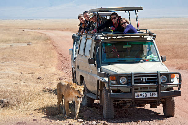 Tarangire Elephant And Baobab Day Tour From Moshi: Best Safari Guide