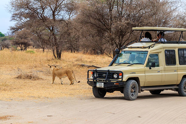 Affordable Ruaha Safari From Iringa: Your Guide 2026-2027