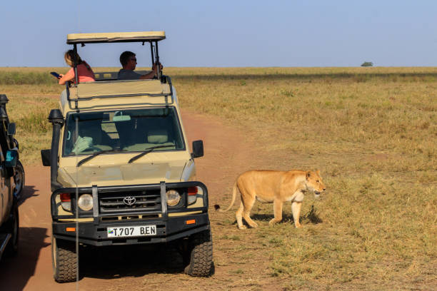 Saadani Family Safari From Zanzibar: Best Guide 2026-2027-2028