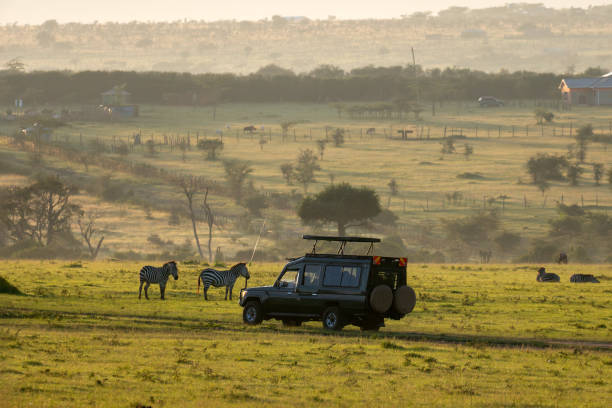 Family-Friendly Safari From Moshi: Best Guide 2026-2027-2028