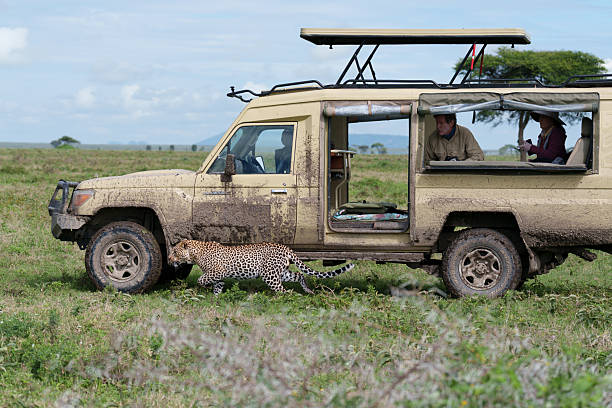Moshi To Tarangire, Lake Manyara, Serengeti And Ngorongoro Safari: Best Guide
