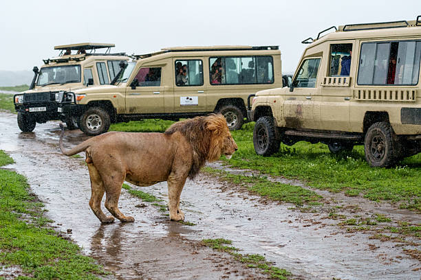Saadani Safari From Zanzibar: Best Guide 2026-2027-2028