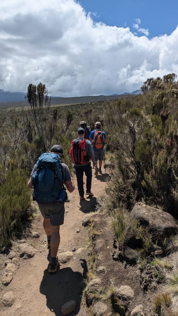 Complete Northern Circuit Itinerary: Best Safari Guide 2026-2027-2028